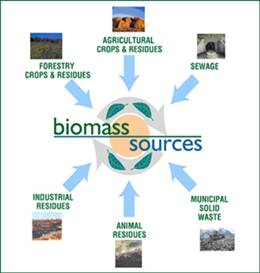 biomass_sources.jpg